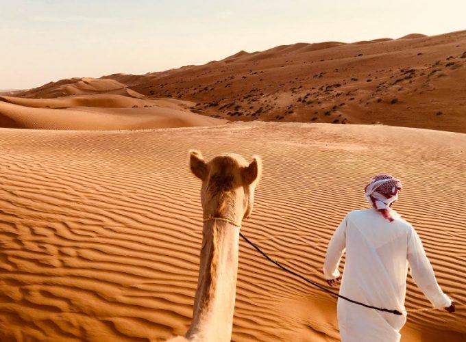 Best Place To Ride a Camel In Dubai